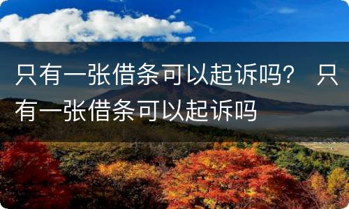 只有一张借条可以起诉吗？ 只有一张借条可以起诉吗
