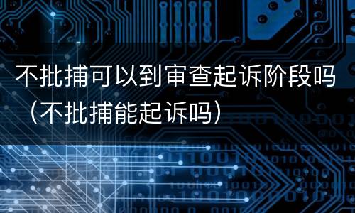 不批捕可以到审查起诉阶段吗（不批捕能起诉吗）