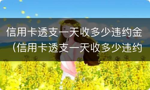 信用卡透支一天收多少违约金（信用卡透支一天收多少违约金合理）