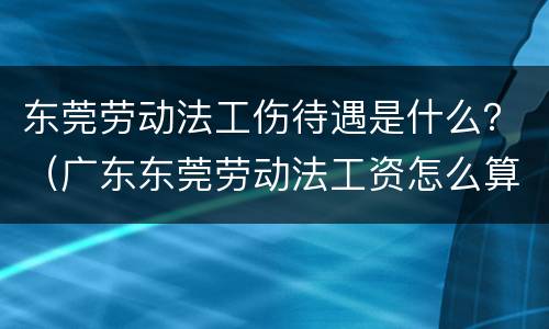 东莞劳动法工伤待遇是什么？（广东东莞劳动法工资怎么算）