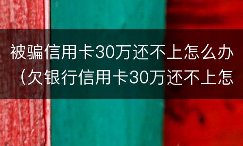 被骗信用卡30万还不上怎么办（欠银行信用卡30万还不上怎么办）