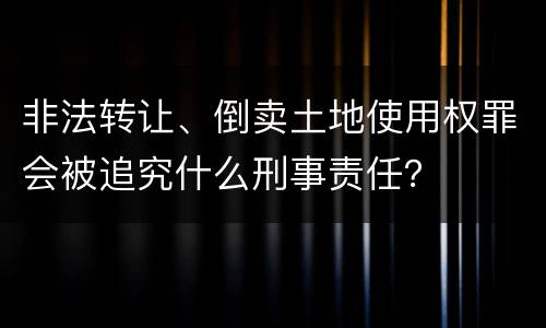 非法转让、倒卖土地使用权罪会被追究什么刑事责任？