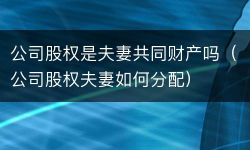 公司股权是夫妻共同财产吗（公司股权夫妻如何分配）