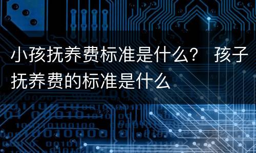 小孩抚养费标准是什么？ 孩子抚养费的标准是什么