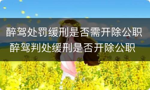 醉驾处罚缓刑是否需开除公职 醉驾判处缓刑是否开除公职