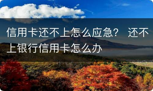 信用卡还不上怎么应急？ 还不上银行信用卡怎么办