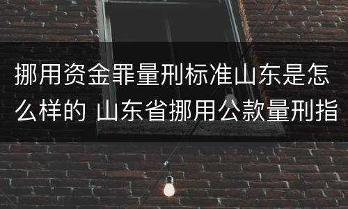 挪用资金罪量刑标准山东是怎么样的 山东省挪用公款量刑指导意见
