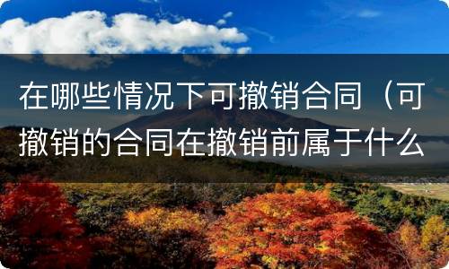 在哪些情况下可撤销合同（可撤销的合同在撤销前属于什么合同）