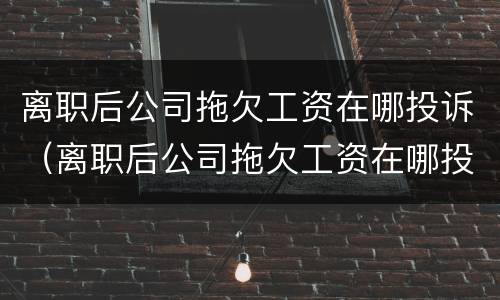 离职后公司拖欠工资在哪投诉（离职后公司拖欠工资在哪投诉电话）