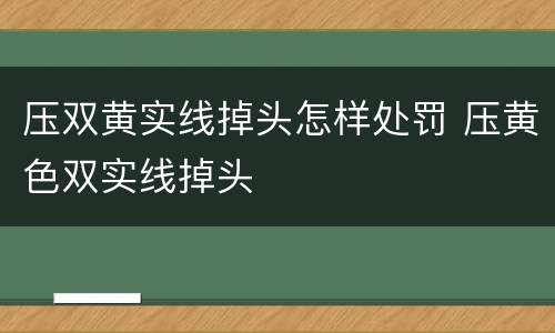 压双黄实线掉头怎样处罚 压黄色双实线掉头