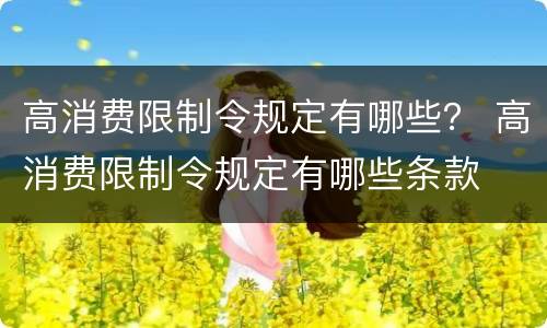 高消费限制令规定有哪些？ 高消费限制令规定有哪些条款