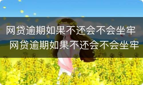 网贷逾期如果不还会不会坐牢 网贷逾期如果不还会不会坐牢呢