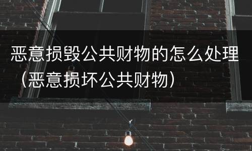 恶意损毁公共财物的怎么处理（恶意损坏公共财物）