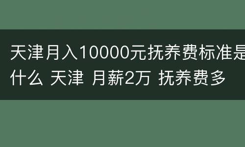 天津月入10000元抚养费标准是什么 天津 月薪2万 抚养费多少钱