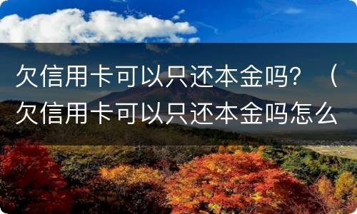 欠信用卡可以只还本金吗？（欠信用卡可以只还本金吗怎么还）
