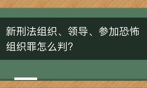 新刑法组织、领导、参加恐怖组织罪怎么判?