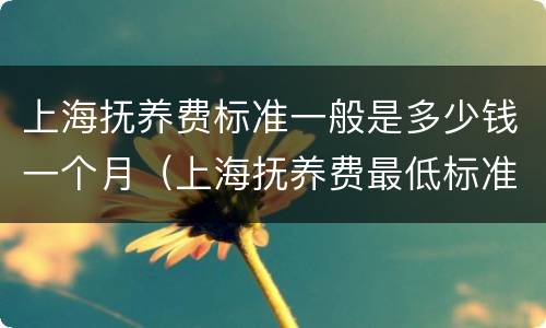 上海抚养费标准一般是多少钱一个月（上海抚养费最低标准是多少）