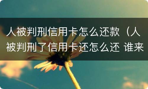 人被判刑信用卡怎么还款（人被判刑了信用卡还怎么还 谁来还）