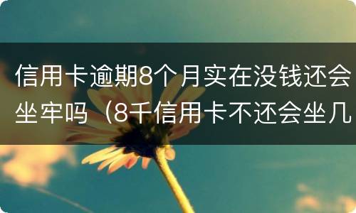 信用卡逾期8个月实在没钱还会坐牢吗（8千信用卡不还会坐几年牢）