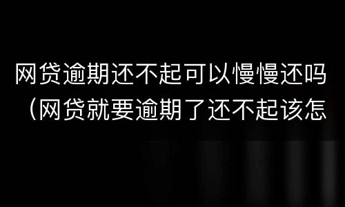 网贷逾期还不起可以慢慢还吗（网贷就要逾期了还不起该怎么办）