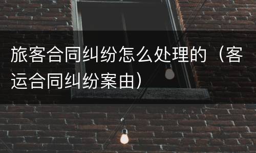 旅客合同纠纷怎么处理的（客运合同纠纷案由）