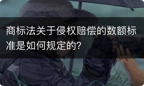 商标法关于侵权赔偿的数额标准是如何规定的？