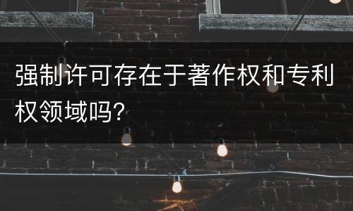 强制许可存在于著作权和专利权领域吗？