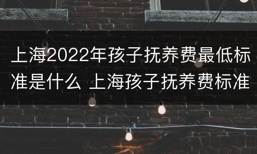 上海2022年孩子抚养费最低标准是什么 上海孩子抚养费标准2021