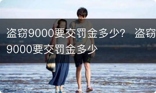盗窃9000要交罚金多少？ 盗窃9000要交罚金多少