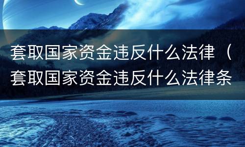 套取国家资金违反什么法律（套取国家资金违反什么法律条文）