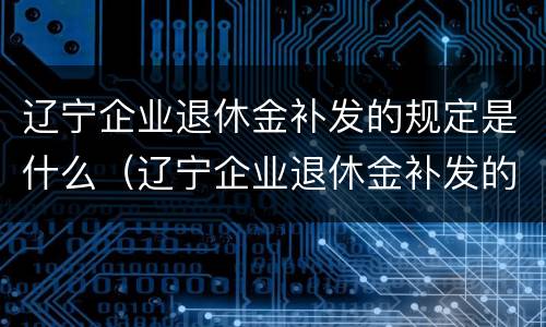 辽宁企业退休金补发的规定是什么（辽宁企业退休金补发的规定是什么意思）