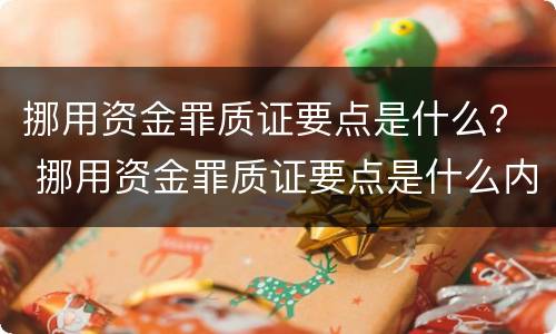 挪用资金罪质证要点是什么？ 挪用资金罪质证要点是什么内容