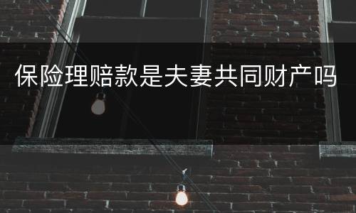 保险理赔款是夫妻共同财产吗
