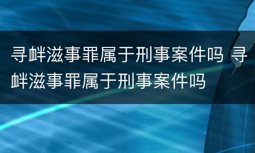 寻衅滋事罪属于刑事案件吗 寻衅滋事罪属于刑事案件吗