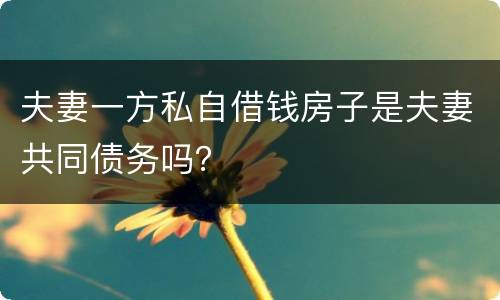 夫妻一方私自借钱房子是夫妻共同债务吗？