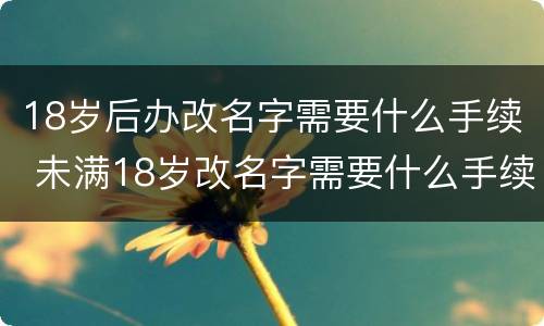 18岁后办改名字需要什么手续 未满18岁改名字需要什么手续