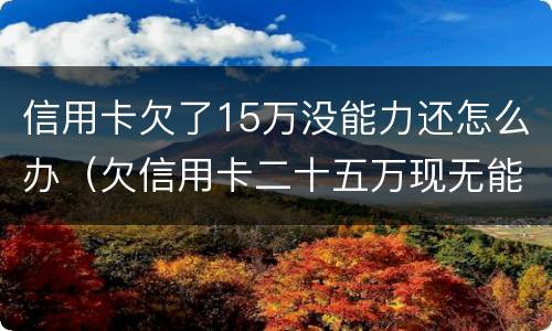 信用卡欠了15万没能力还怎么办（欠信用卡二十五万现无能力还怎么办）