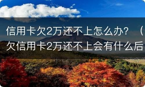 信用卡欠2万还不上怎么办？（欠信用卡2万还不上会有什么后果）