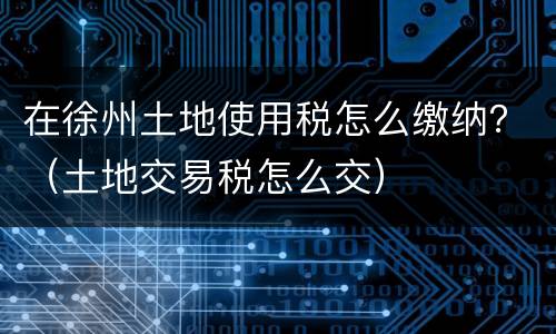 在徐州土地使用税怎么缴纳？（土地交易税怎么交）
