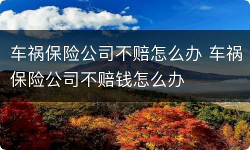 车祸保险公司不赔怎么办 车祸保险公司不赔钱怎么办