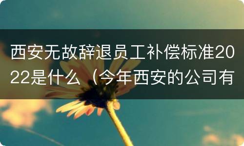 西安无故辞退员工补偿标准2022是什么（今年西安的公司有裁员吗）