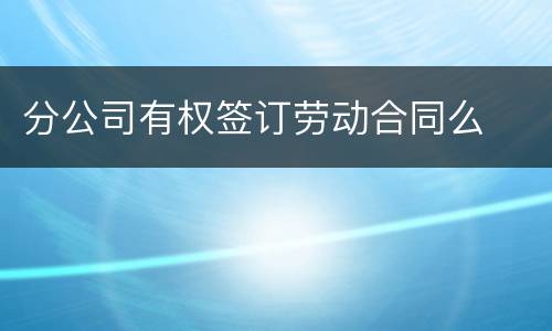 分公司有权签订劳动合同么