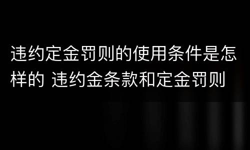 违约定金罚则的使用条件是怎样的 违约金条款和定金罚则