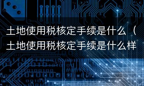 土地使用税核定手续是什么（土地使用税核定手续是什么样的）