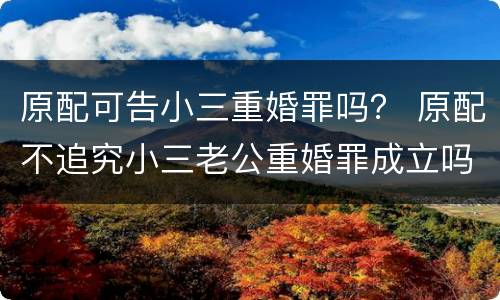 原配可告小三重婚罪吗？ 原配不追究小三老公重婚罪成立吗
