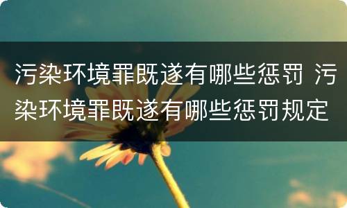 污染环境罪既遂有哪些惩罚 污染环境罪既遂有哪些惩罚规定