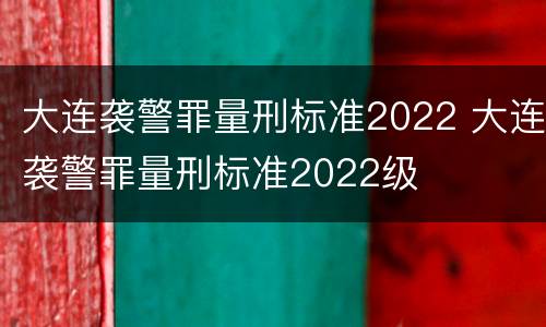 大连袭警罪量刑标准2022 大连袭警罪量刑标准2022级