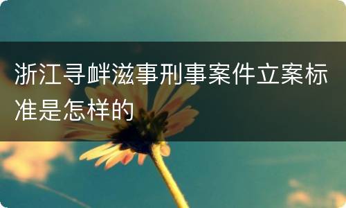 浙江寻衅滋事刑事案件立案标准是怎样的