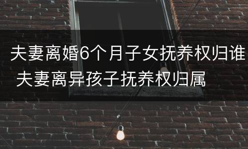 夫妻离婚6个月子女抚养权归谁 夫妻离异孩子抚养权归属