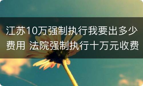 江苏10万强制执行我要出多少费用 法院强制执行十万元收费多少